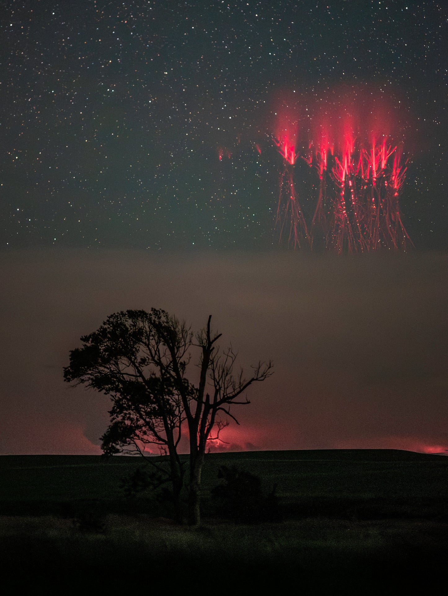 Red Sprite over Storm-Battered Lone Tree